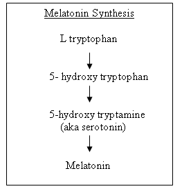 Melatonin Synthesis